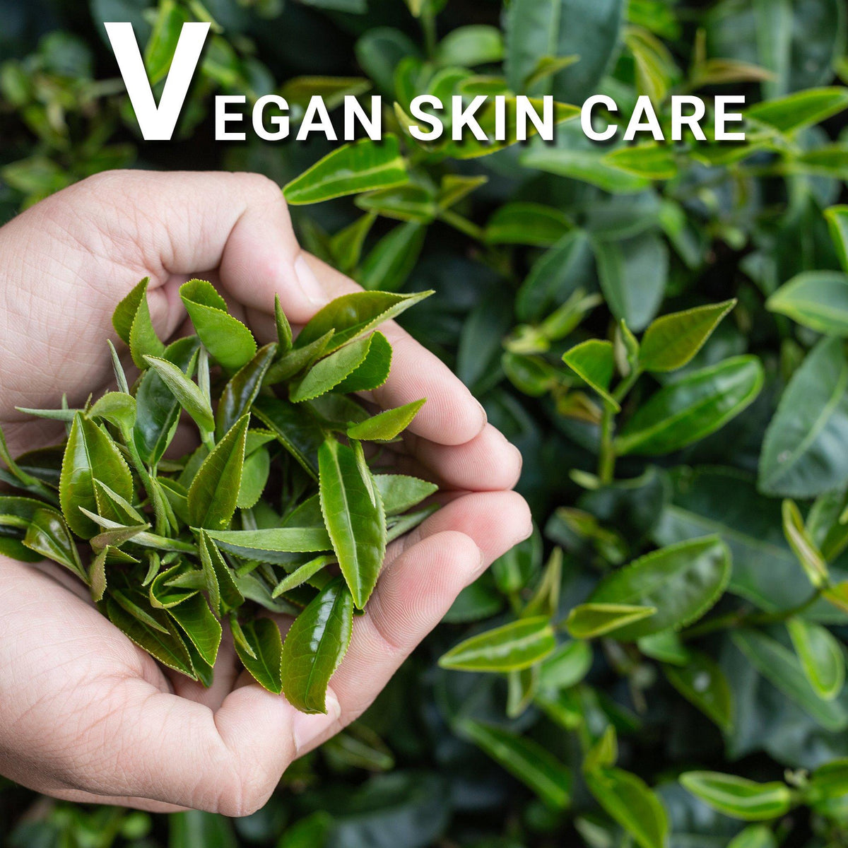 The Truth behind Natural, Organic, cruelty -free and Vegan cosmetic products.