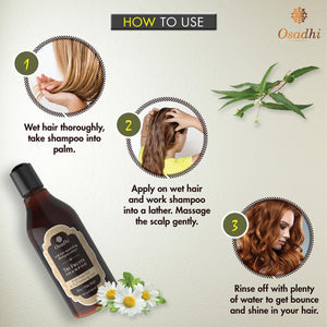 Tri Fruits Shampoo – For Strong Hair & Healthy Scalp